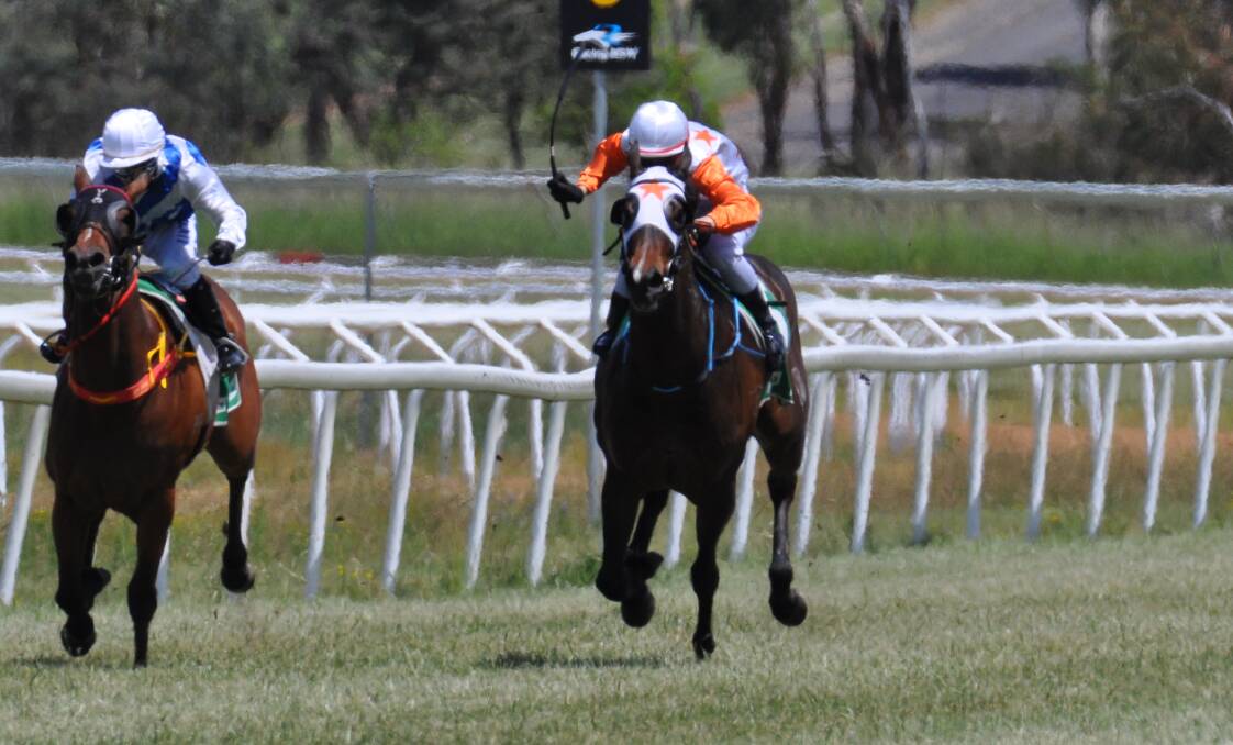 IMPRESSIVE: Alison Smith's Supreme Gem picked up her second placing from as many career starts on Friday, finishing second behind Dean Mirfin's Worldly Pleasure. Photo: NICK McGRATH