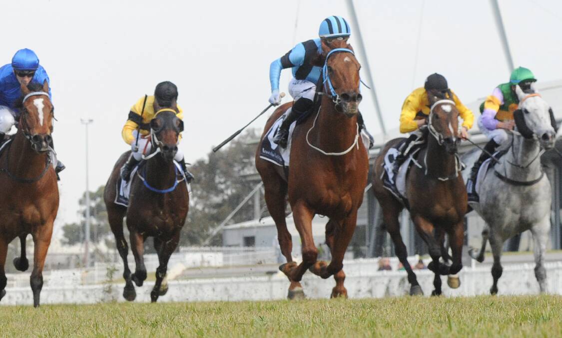 NIBBLES: Sharpe Hussler (centre) on his way to win at Rosehill. Although there's been nibbles, trainer Cam Crockett's not hanging his hat on his star winning a Kosciuszko slot Photo: AAP/SIMON BULLARD