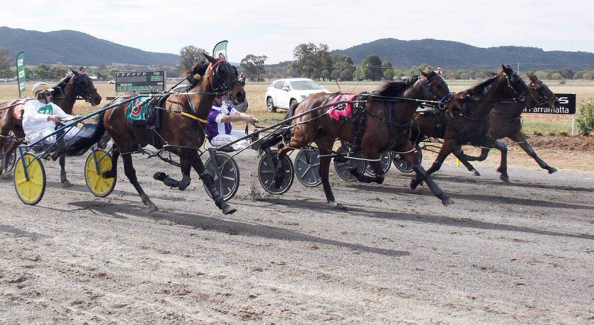 CLOSE AS THEY COME: Major Comment, Redbank Cooper, Kanena Provlima and Hurricane Roy four abreast as they cross the finish line in the $30,000 Canola Cup. Photo: FORBES ADVOCATE