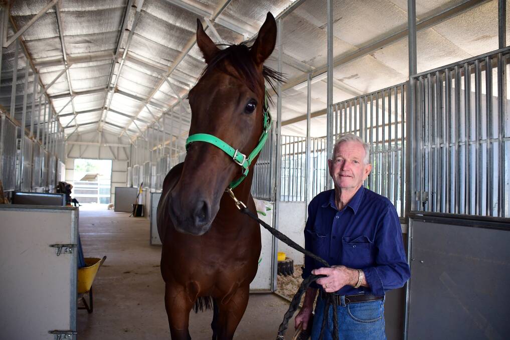 GOOD KARMA: Dubbo trainer Allan Gibson is hoping Cowboys Karma can back up his Orange Gold Cup prelude win with a victory in the race-proper. Photo: BELINDA SOOLE