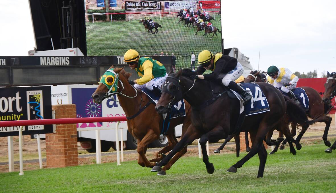 All the action from Sunday's thrilling feature at Dubbo Turf Club, photos by BELINDA SOOLE