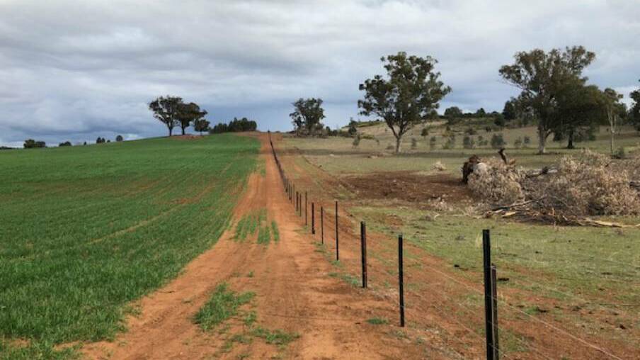 Fenced out: Weston Fence are holding an on-farm field day on the Dwyer's property on October 10. Photo: Supplied.