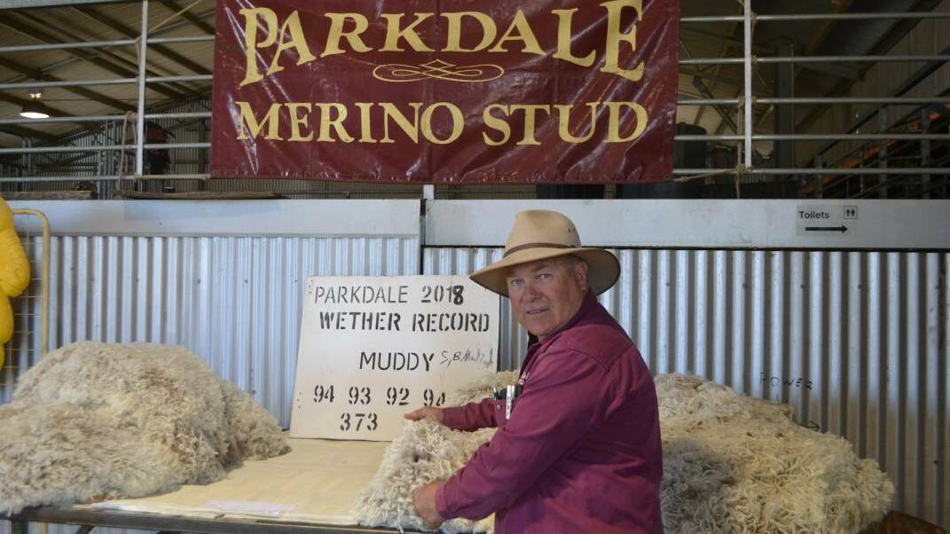 Breeding solution: Don Mudford, of Parkdale SRS Poll Merino Stud, with the wool that world record shearer Steven Mudford shore off sheep that weren't mulesed. Photo: Taylor Jurd. 