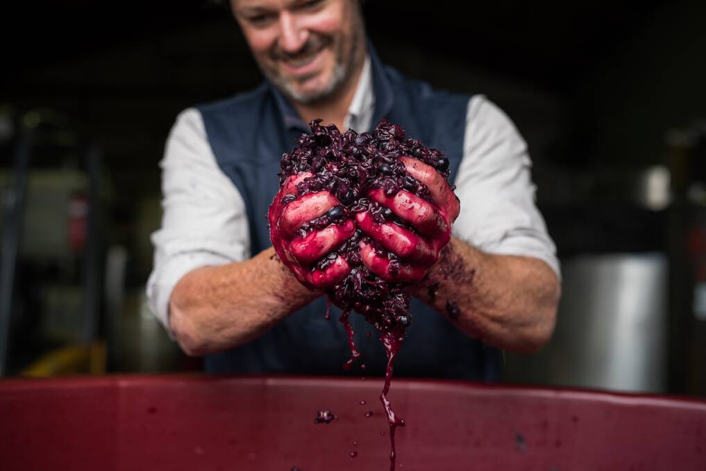 ALMOST THERE: Winemaker Will Rikard-Bell of RIKARD Wines says it's been a challenging season but he is excited about the 2022 vintage. Photo: PIP FARQUHARSON