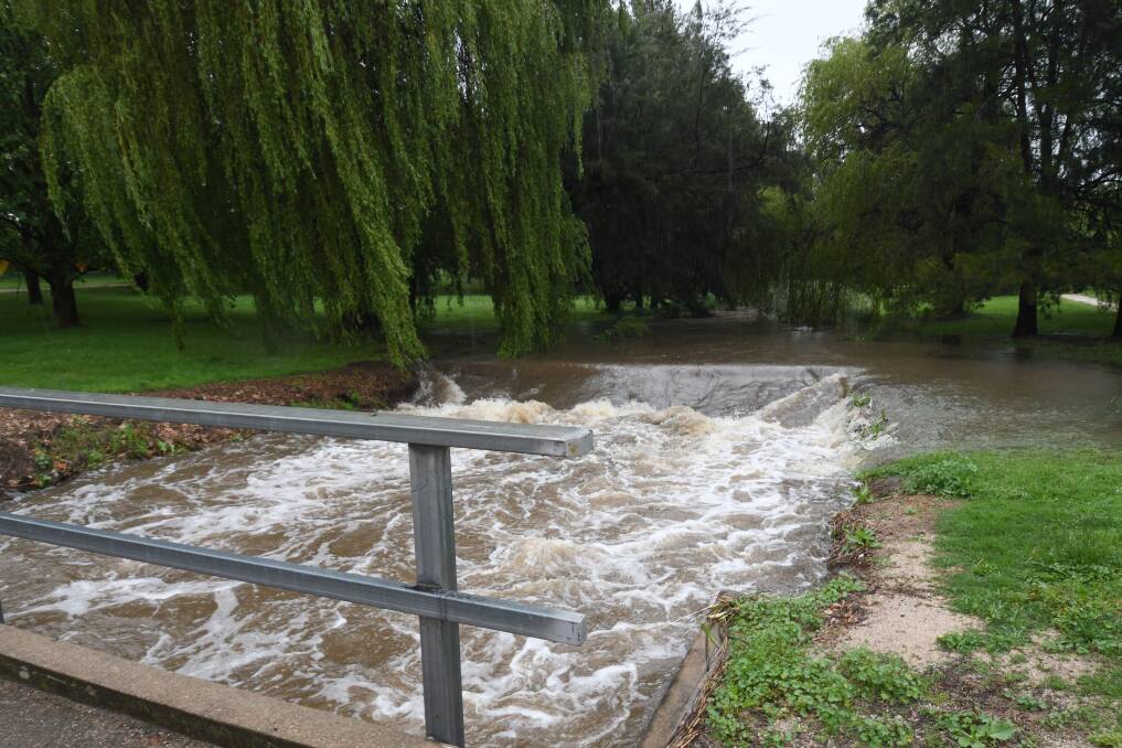 OVERFLOWING: Blackmans Swamp Creek full to the brim after another deluge. 