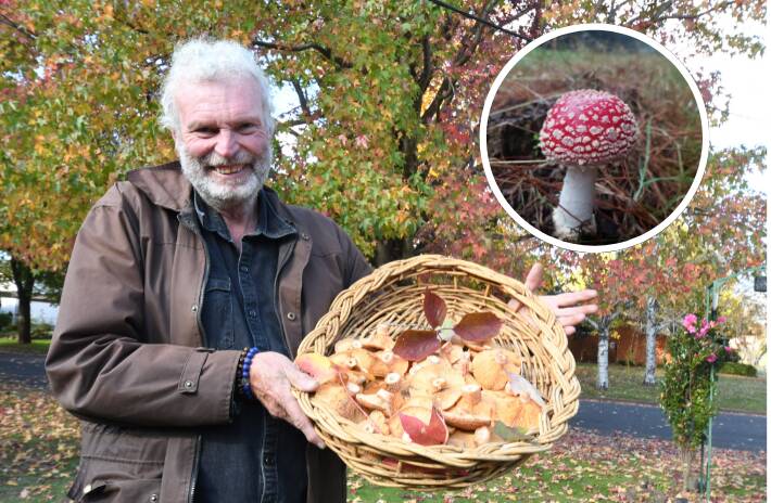 FANTASTIC FUNGI: Mushroom forager Robbie Robinson says it's a great year for mushrooms. INSET: The enchanting but poisonous fly agaric. Photos: JUDE KEOGH/ROBBIE ROBINSON