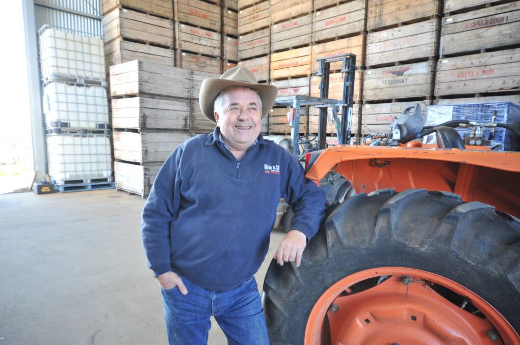 HELP NEEDED: Orange orchardist Guy Gaeta says on-farm quarantine would help get more workers on farms.
