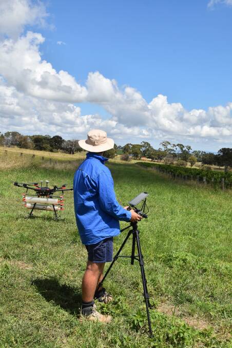 MITE-Y TECHNOLOGY: Drone operator Nick Pearce from Parabug prepares to launch the mite-carrying drone. Photo: SUPPLIED 