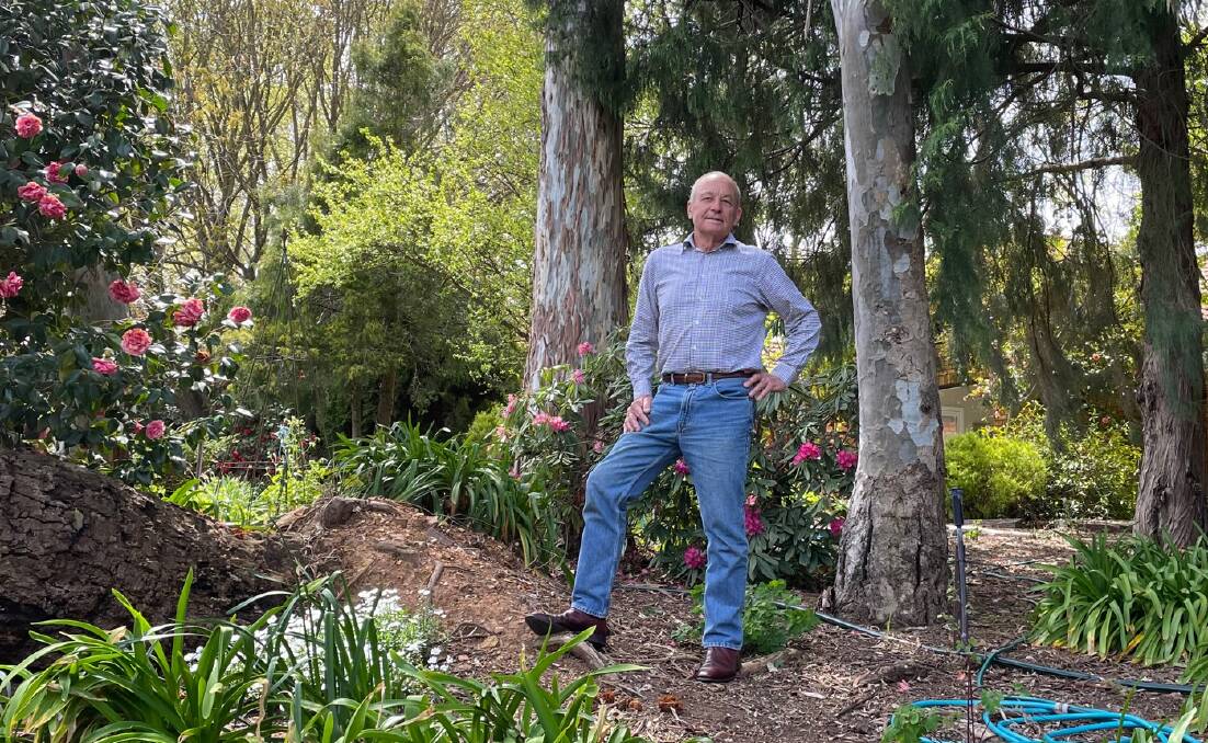 MOVING ASIDE: Russell Turner at home in his garden. The 80-year-old is stepping aside to make way for someone with fresh ideas and business skills. Photo: ALANA CALVERT