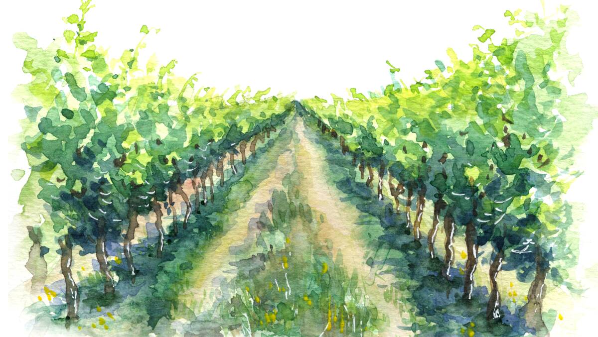 ART IN THE VINES: Try your hand at painting. 