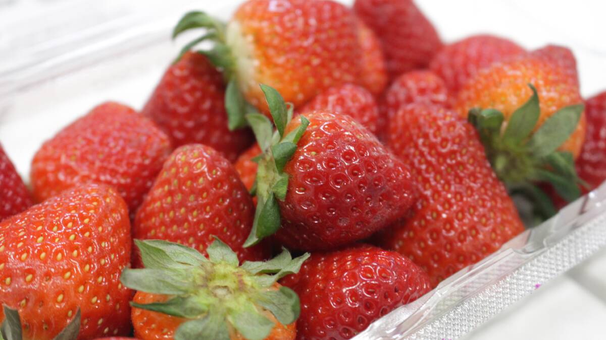 Orange backs strawberries: shoppers still buying fruit despite scares