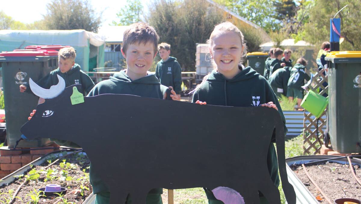 NO BEEF: Nashdale Public School captains Jack Garlick and Holly Adams. Photo: MAX STAINKAMPH