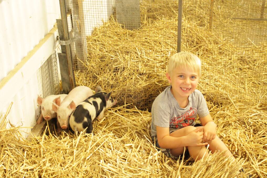GRINNING: Jake Moss in the animal nursery with three adorable piglets. Photo: MAX STAINKAMPH 0425MSshow3.
