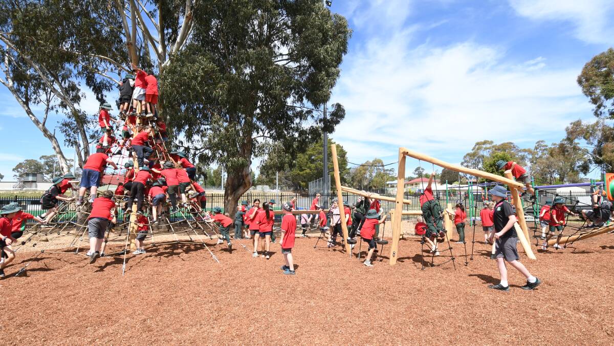 All the action from Glenroi Heights Public School on Monday. Photos: CARLA FREEDMAN