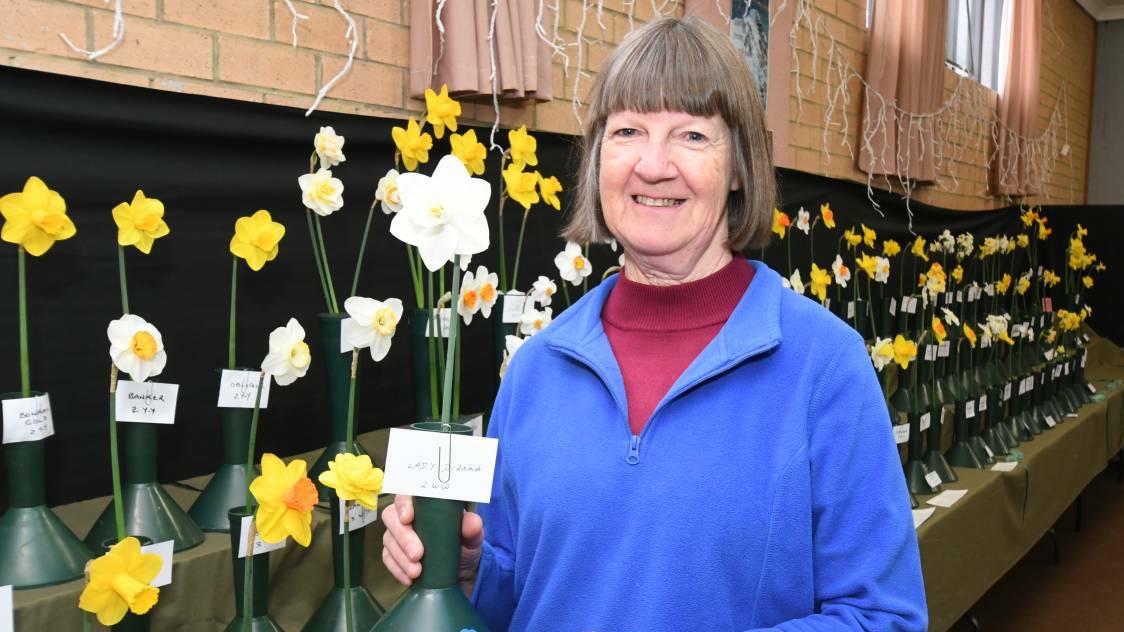 Sheila Hodgson with her grand champion daffodil Lady Diana last year. 