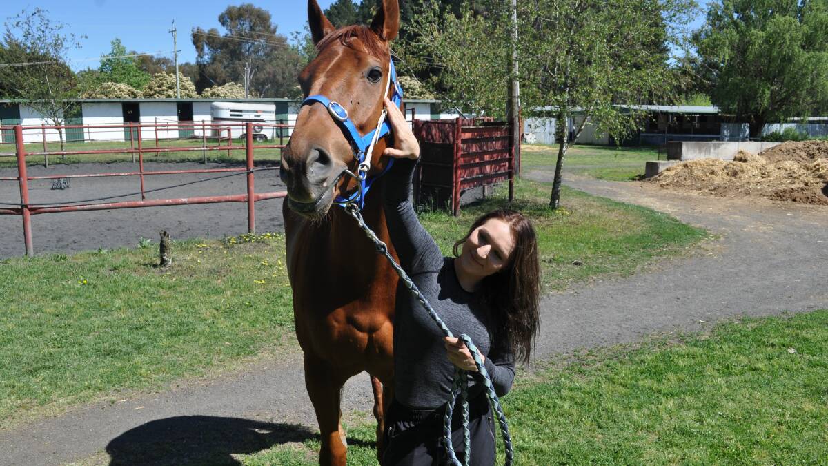 READY TO RACE: Michael Plummer's horse Pujols - pictured with Katie Jenkinson - will take to the track in race six at Tuesday's meeting at Towac Park. Photo: NICK McGRATH