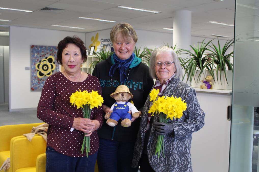 SPLASH OF COLOUR: Corinne Stringer, Jo Krats and Val Tom ahead of the Cancer Council's Daffodil Day. Photo: MAX STAINKAMPH.