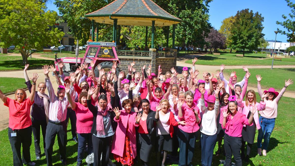 PRETTY IN PINK: Council members and community members decked out in pink. Photo: SUPPLIED. 