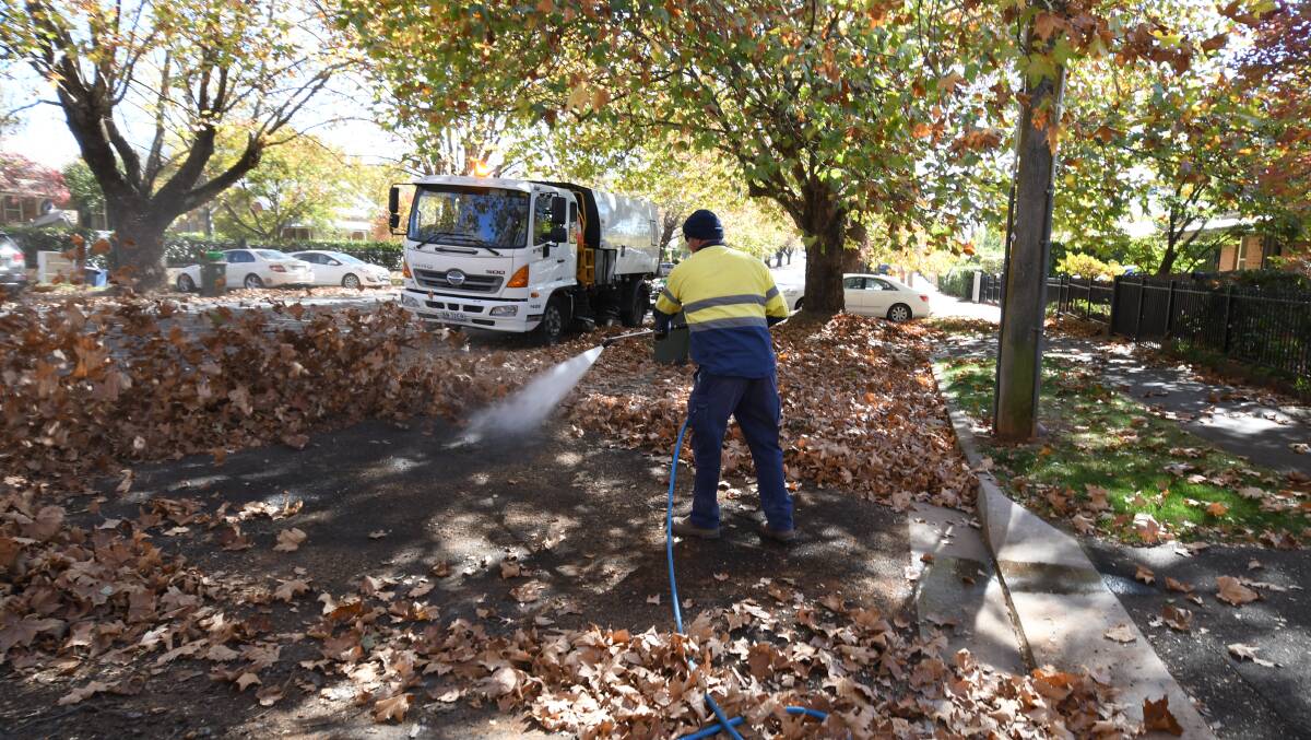 Mick Davis and Gavin Forrest cleaning the autumnal foliage of Orange. Photos: CARLA FREEDMAN.