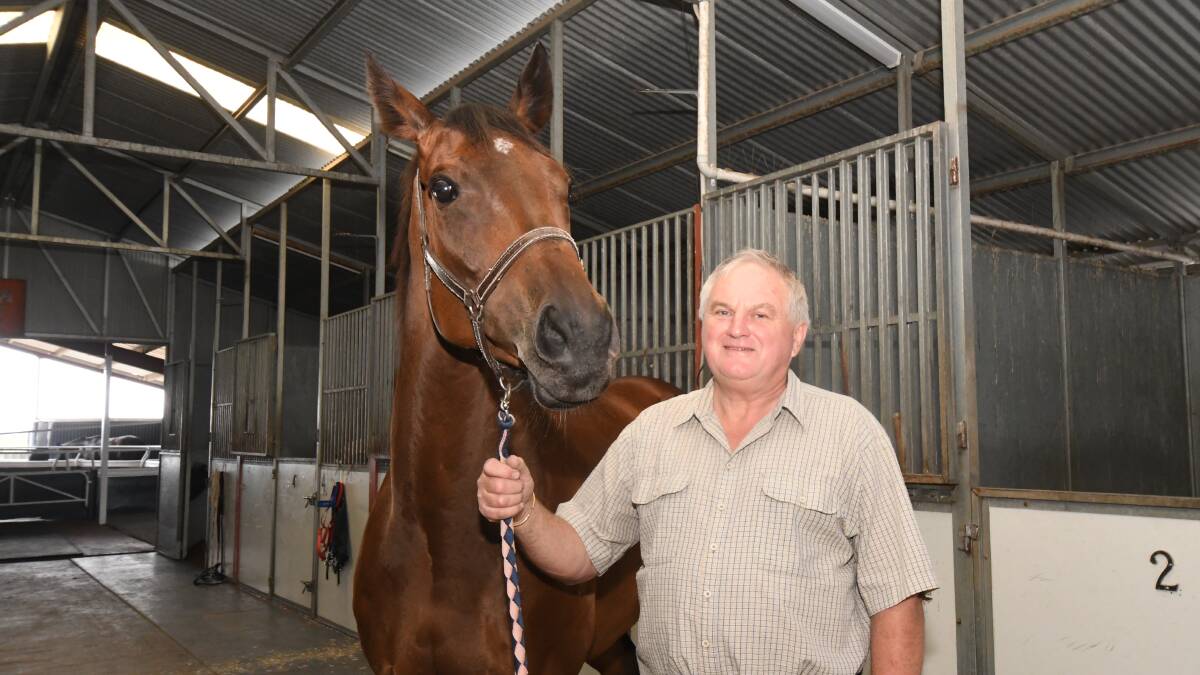 'Fresh as an old fella can get': Cornish returning to Cup form in Cowra