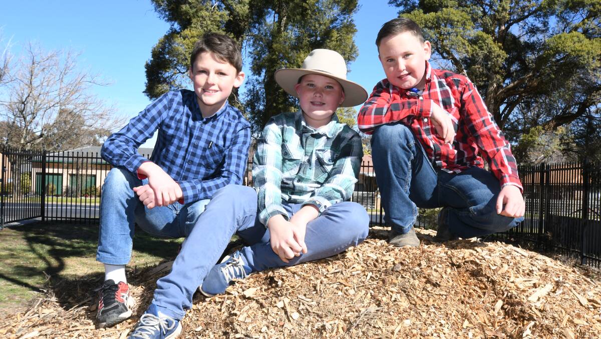 FLANNIES FOR FARMERS: Calare Public School's Klayton O'Grady and Makenzie and Briley Sargent all kitted up for their mufti day on Tuesday. Photo: JUDE KEOGH 0810jkcalare1