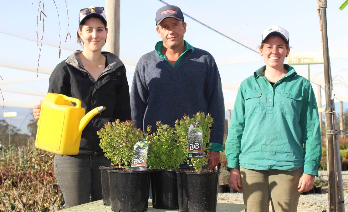 WATER YOU MEAN?: Zoe Burgess, Paul Davidson and Erika Sims have seen traffic increase at Bell River Nursery despite the drought. 