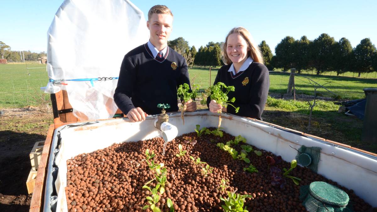 BREAKING NEW GROUND: Hugh Mackillop and Tyarna Pavey with the natural water filtration system, which also serves a garden bed which is currently being used to grow lettuce. Photo: JUDE KEOGH