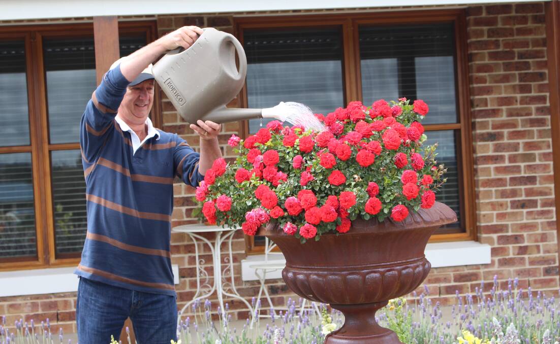 POUR IT OUT: Gary Sanders takes a watering can do a pot plant in his garden. Photo: MAX STAINKAMPH