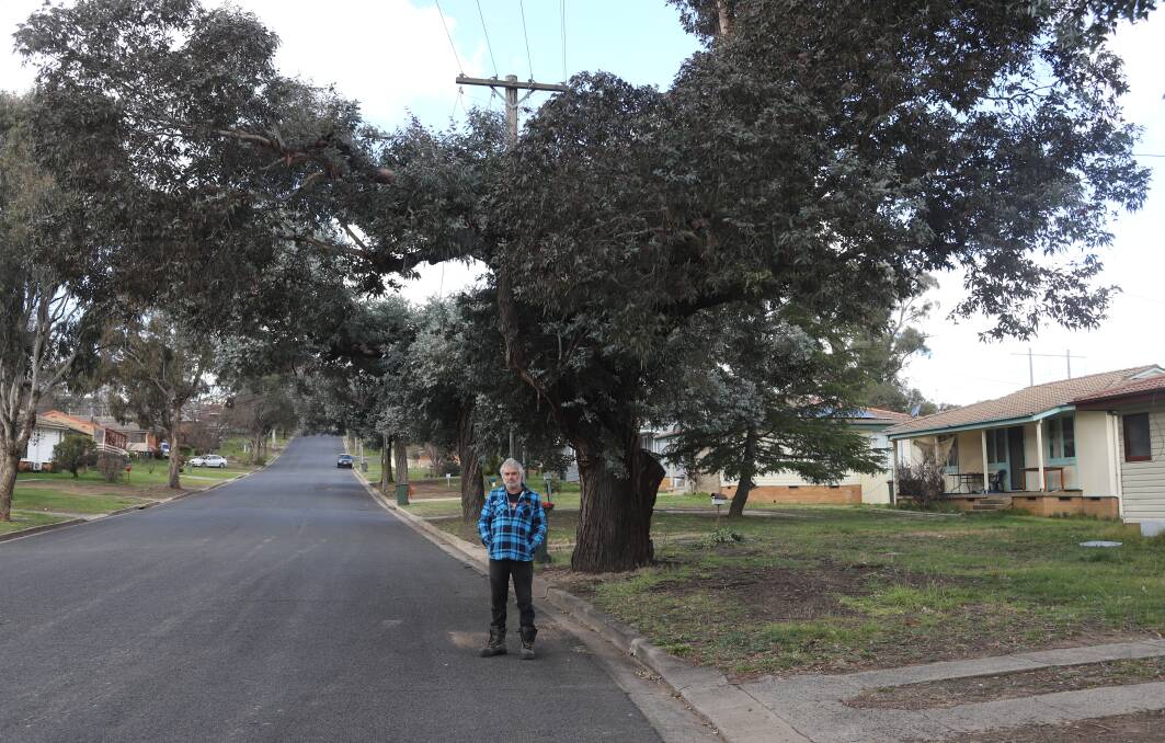 Resident Tony Briggs is asking for trees to be removed. Photos: CARLA FREEDMAN