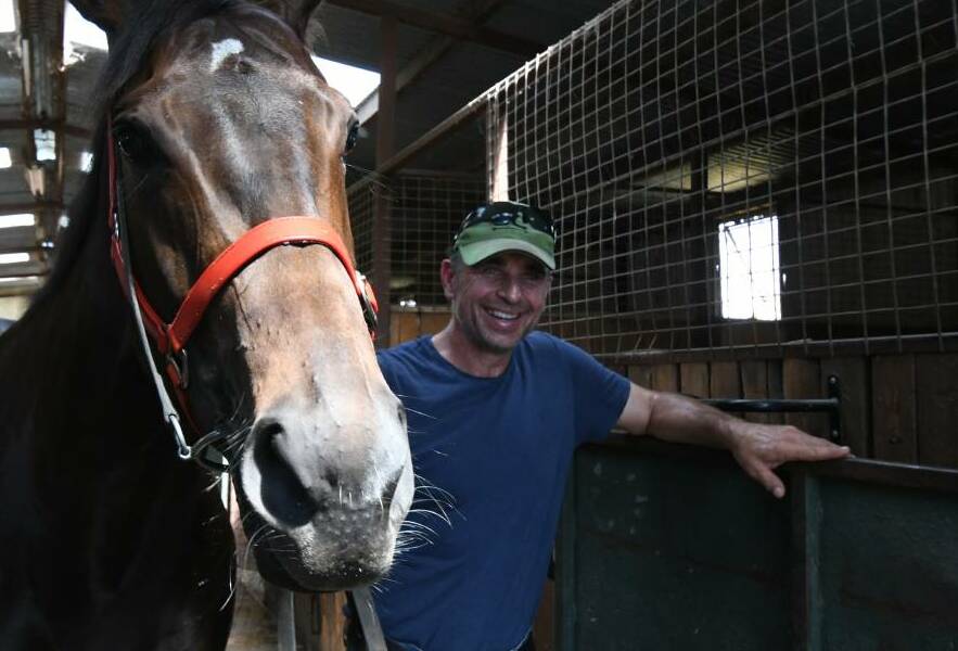 OFF TO COWRA: Joe Curran - pictured with Concours - will have Yokai debut in Cowra on Sunday. Photo: MATT FINDLAY. 