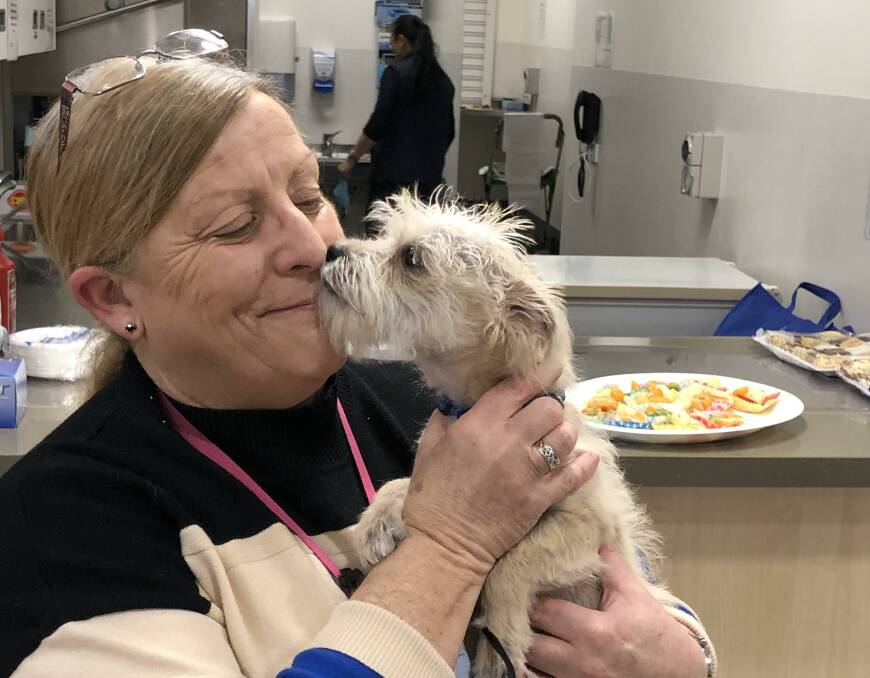 PAW-SITIVE SUPPORT: Senior Diversional Therapist Marlene Simonson and the Maquarie Unit's newest and friendliest staff member Douglas. Photo: SUPPLIED