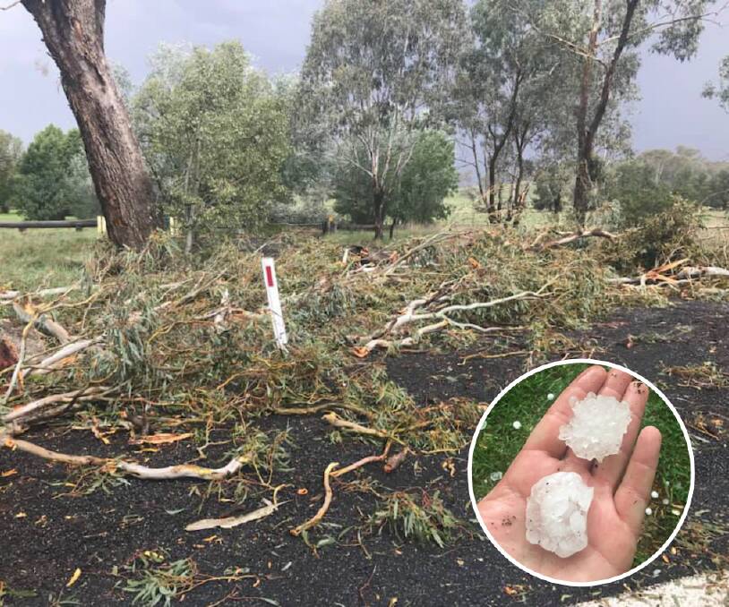 WILD STORMS: The damage between Euchareena and Stuart Town on Thursday afternoon taken by Amanda Selwood and (inset) Daniel Taurins with hailstones. 