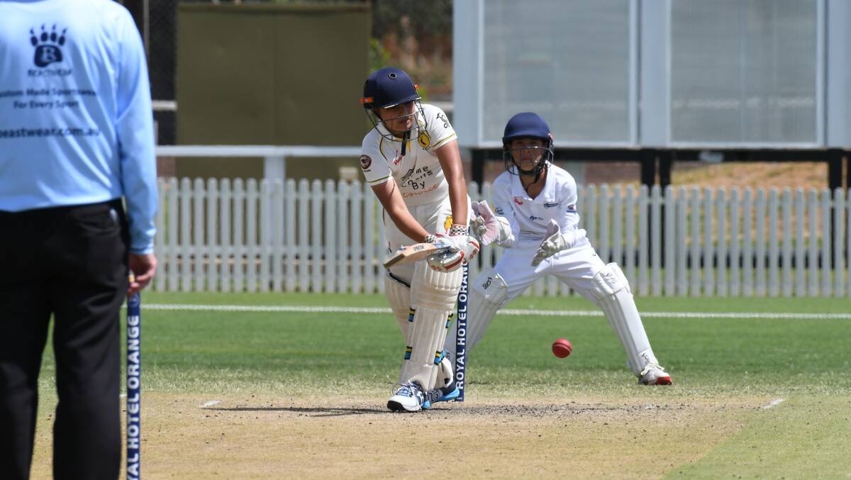 Pushpinder Singh from Blacktown hits the ball to leg-side in the grand final. 