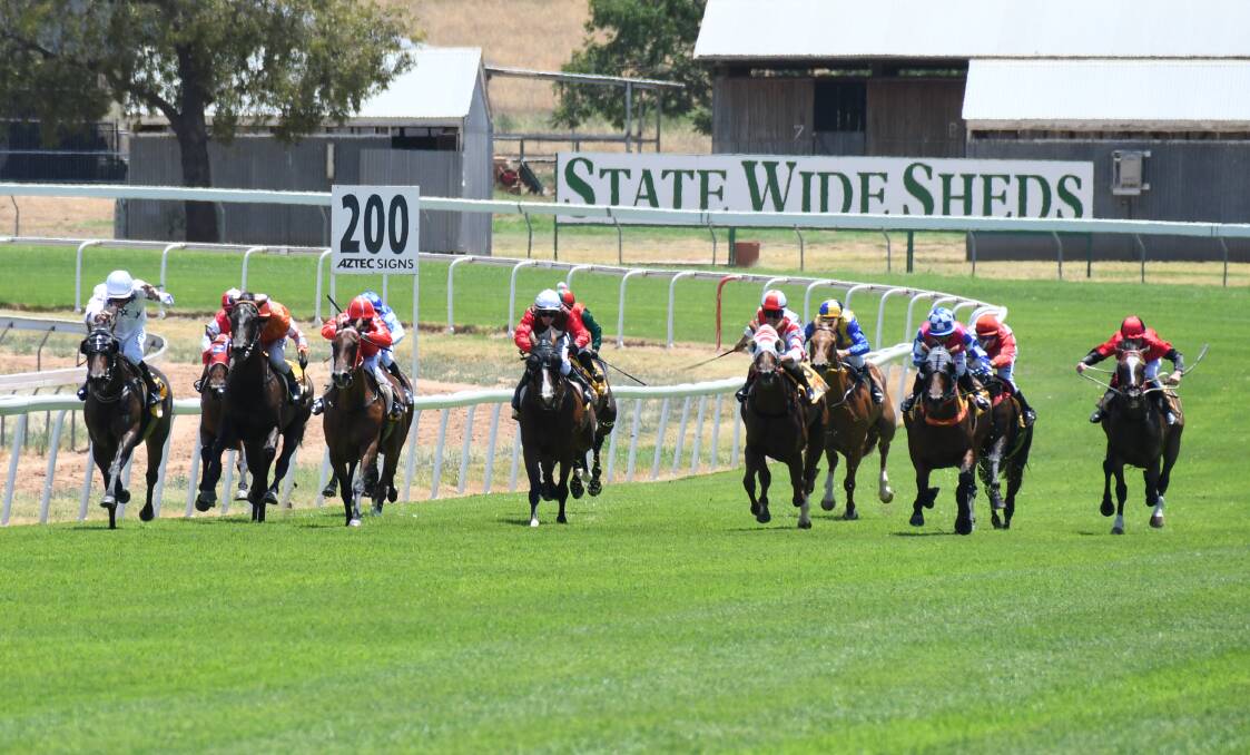 ON THE RUN: Alison Smith's Audio Bay (far left) leads the pack on the home straight at Wellington. Photo: AMY McINTYRE