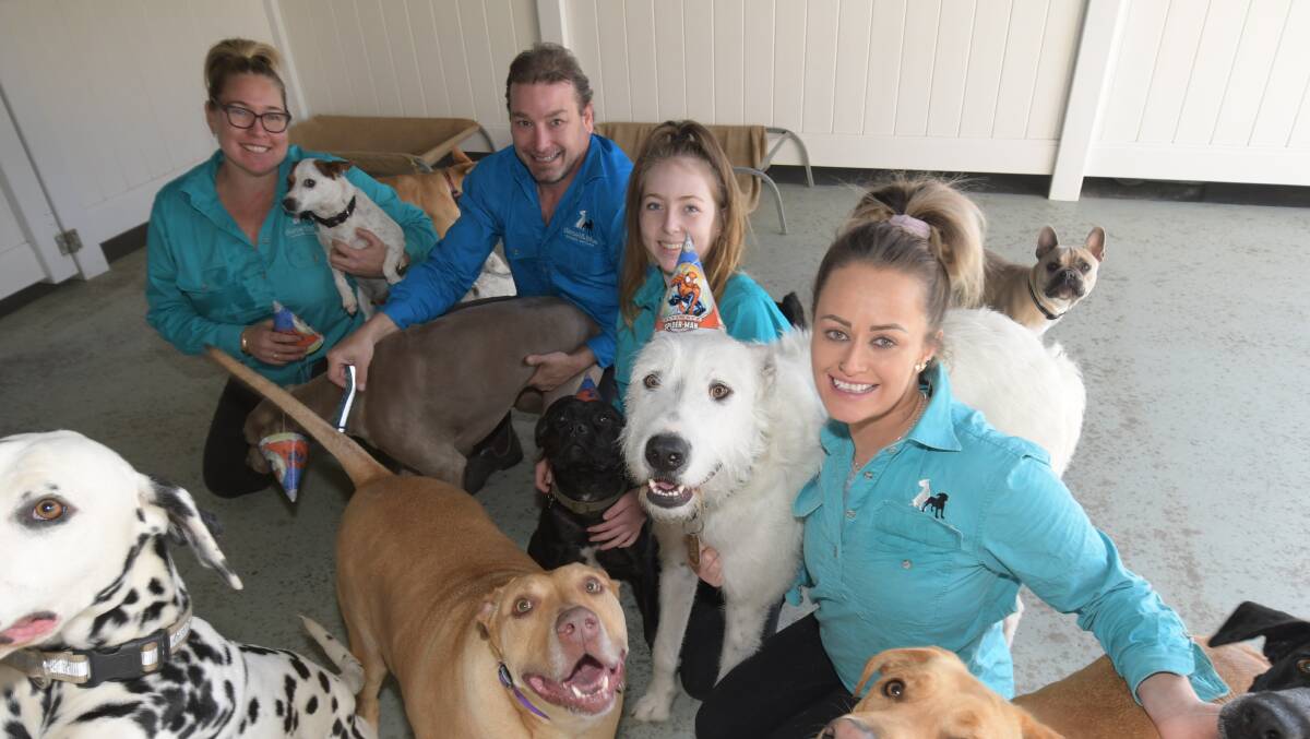 The staff and pooches at Diesel and Blue Doggie Day Care. Photos: CARLA FREEDMAN