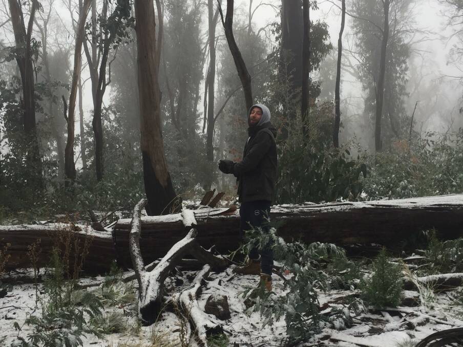 MORE SNOW COMING: Angus Dunne preparing a snowball while up Mount Canobolas last Monday during the snow. Photo: ALEX CROWE.