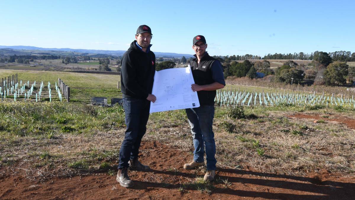 Printhie Wines co-owners Ed and Dave Swift at the Nancarrow Lane location on the outskirts of town which is now their cellar door. Photo: JUDE KEOGH 0627jkprinthie1