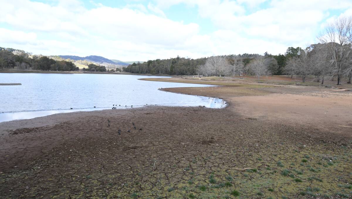 DRY AS: The water levels at Lake Canobolas have hit one of the lowest levels in the past 50 years. Photos: CARLA FREEDMAN