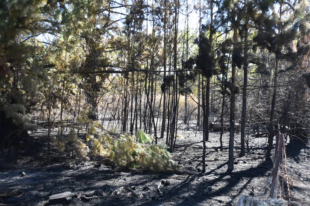 Images of the blaze that broke out at Bloomfield, and what the area looked like on Monday