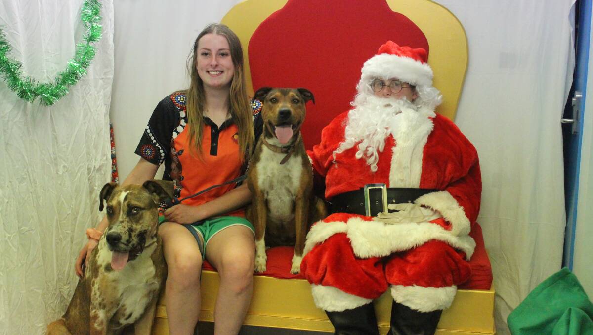 GOOD BOYS: Kellie Furner took her pooches Cujo and Zeus to visit Santa on Saturday at the RSPC shelter. Photo: MAX STAINKAMPH