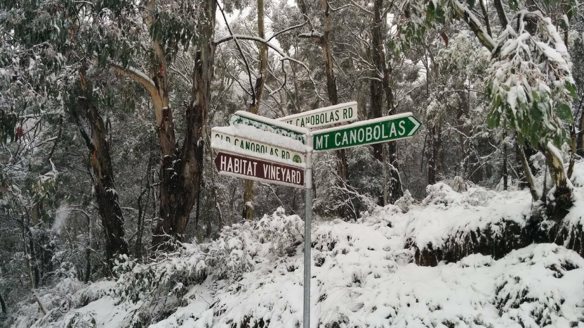 HOW SNOW CAN YOU GO?: Mount Canobolas is expected to receive a dusting of snow over the weekend. FILE PHOTO. 