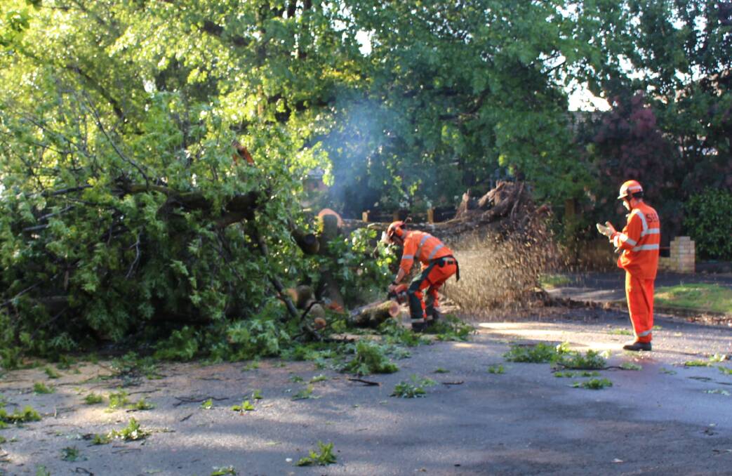 CLEARING: SES crews clearing a tree on National Avenue. Photo: MAX STAINKAMPH. 