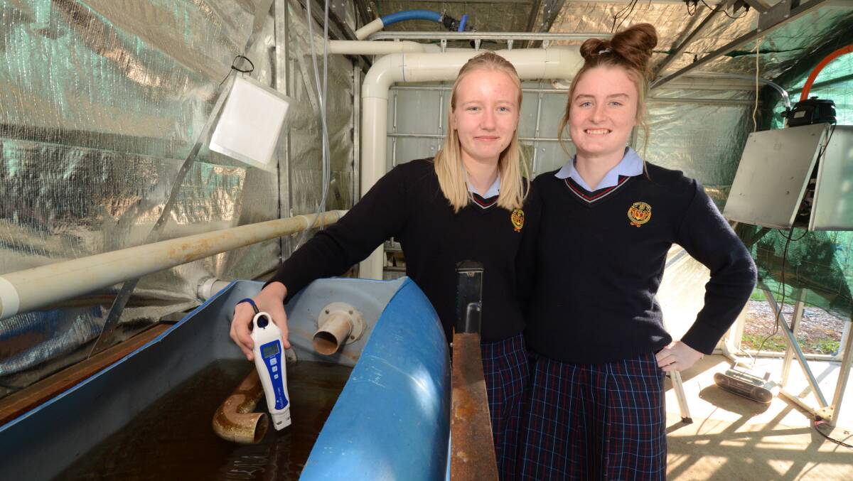 FISH WITH A PH: Imogen Jenner and Mackenzie Inness testing the PH of the water outside the fish tank. Their class has put together the fish tank nearly from scratch. Photo: JUDE KEOGH