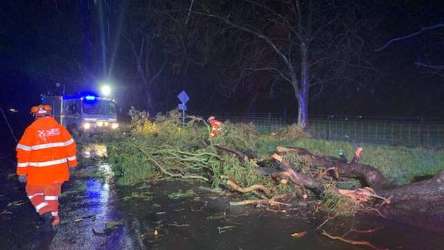TREES DOWN: SES volunteers responded to wild weather across Orange over the weekend. Photo: SUPPLIED