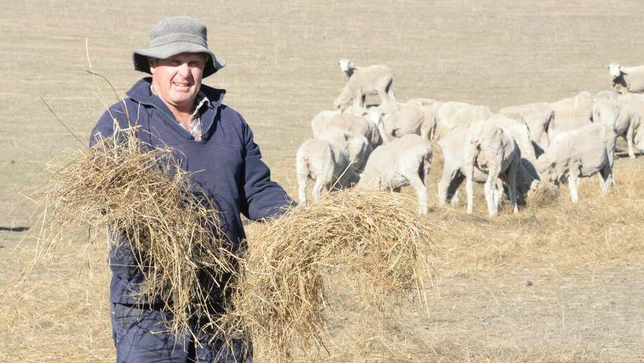 SOLD: Tarana farmer Peter Moore says he has sold his extra stock and will breed them back once the region is out of drought. Photo: FILE