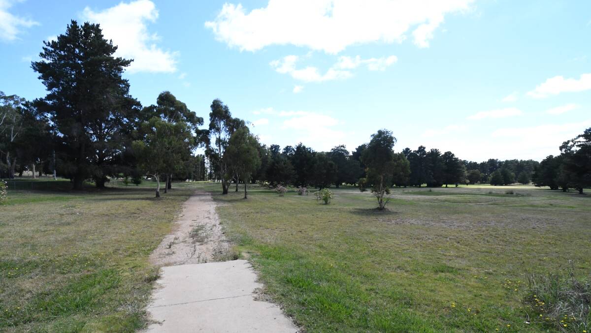 GREENERY: More than 500 trees are set to be culled around the former golf course to make way for sporting facilities at Bloomfield. Photo: JUDE KEOGH 