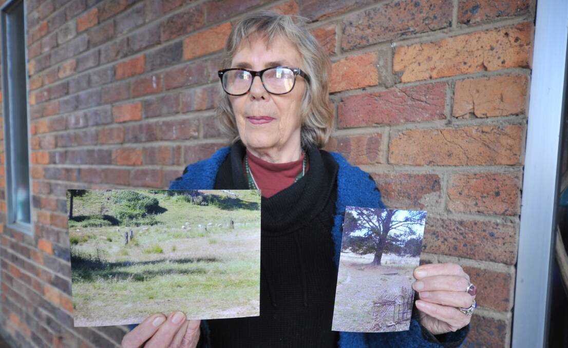 DISAPPOINTED: Fay Gregory wants more done to protect the graves at the cemetery on Dry Creek Road which hosts members of her family. Photo: JUDE KEOGH.