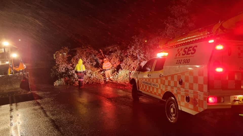 HARD HIT: Damage caused by trees in Monday night's storm. Photo: NSW SES ORANGE CITY UNIT.