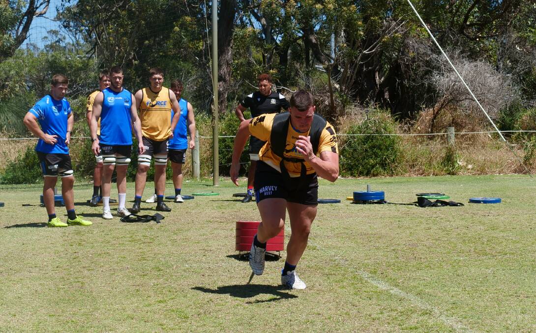 CHANGE OF SCENERY: Andrew Romano putting in the hard yards at training. Photo: WESTERN FORCE.