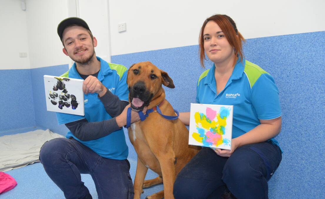 GOOD BOY: Keagan Paine, Rex and Cassandra Gracey with some of the artwork painted by the pooch. Photo: RILEY KRAUSE. 